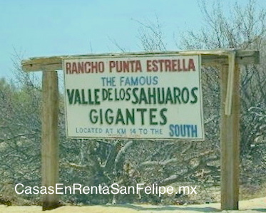 A Brief History of El CardÃ³n de San Felipe Baja Mexico