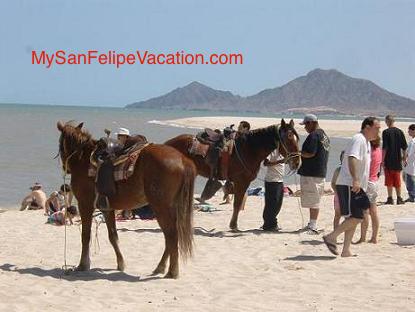 Horseback riding San Felipe, Baja California