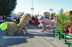 San Felipe Carnival - Dragon Costume