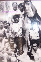 San Felipe history pictures - fish on rod