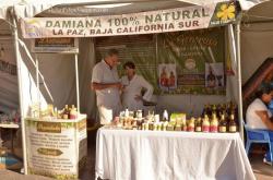 Damiana 100% Natural Liqueur stand at San Felipe Shrimp Festival