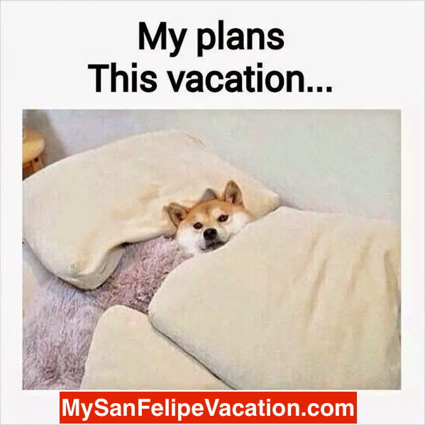 Pet Friendly San Felipe Vacation Rentals